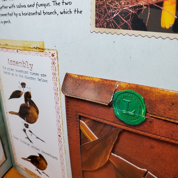 The Field Guide to Birds: Explore Southern Asia and Oceania (No Diorama) Book - Picture 8 of 14